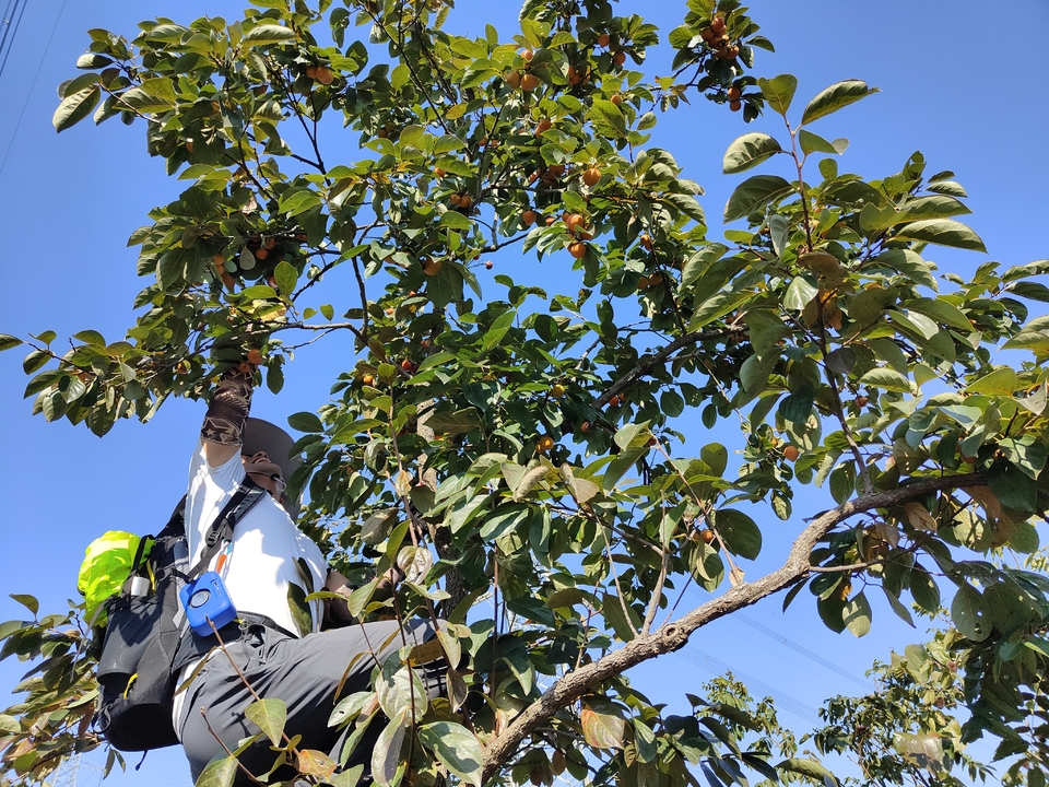 微信图片_20221017231500