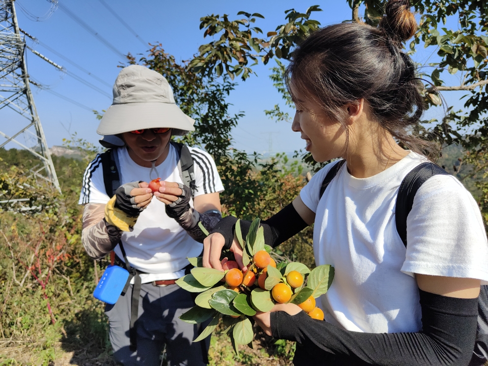 微信图片_20221017231516