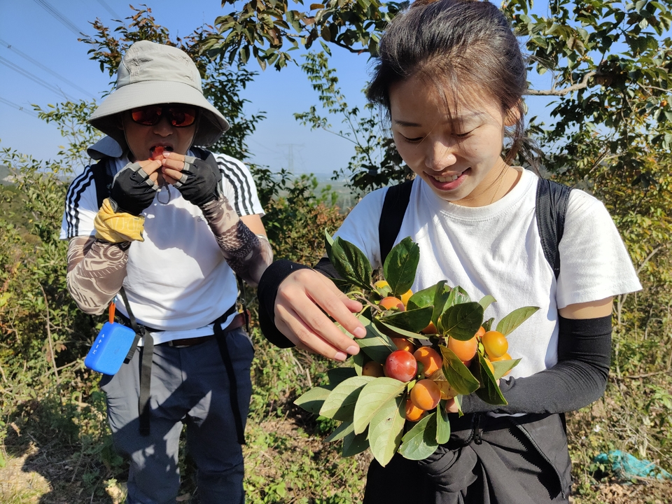 微信图片_20221017231525