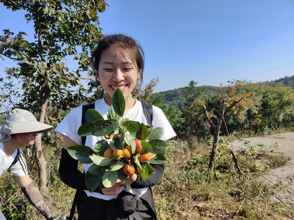 微信图片_20221017231534