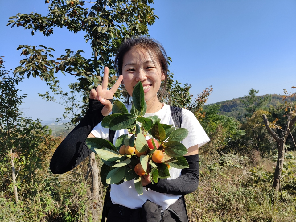 微信图片_20221017231540