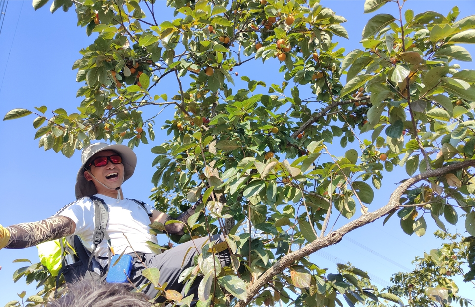 微信图片_20221017231547