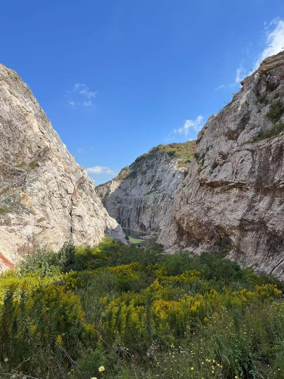 微信图片_20221017231615