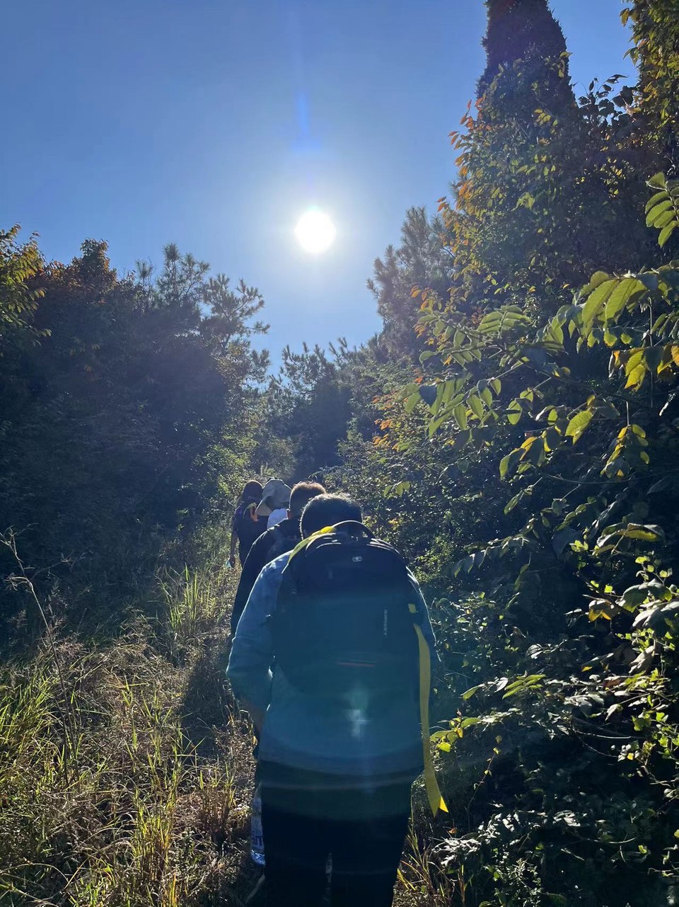 微信图片_20221017231619