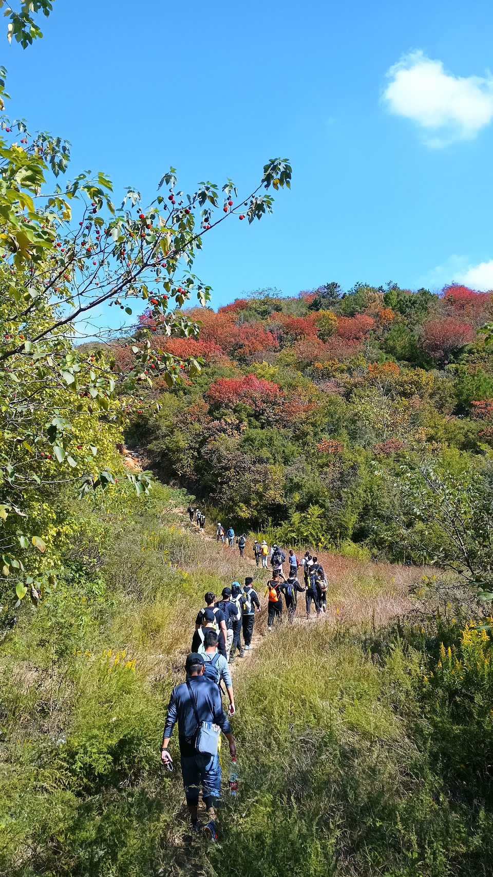 微信图片_20221017231646