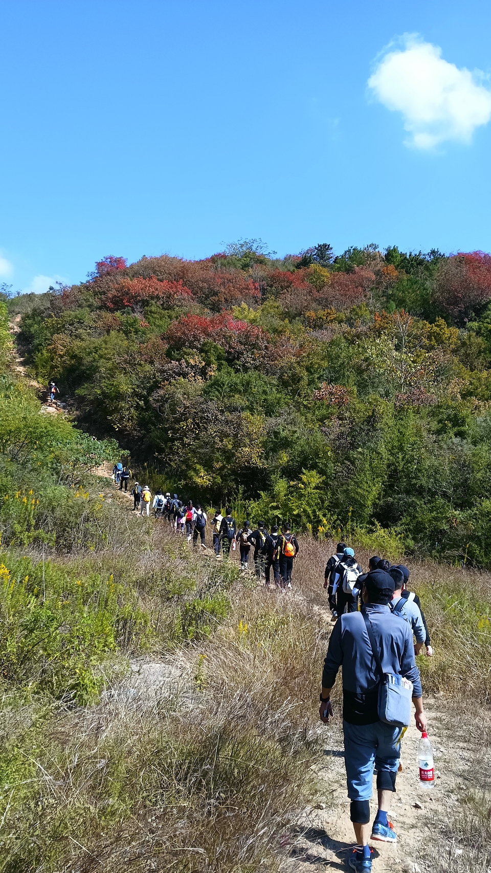 微信图片_20221017231720