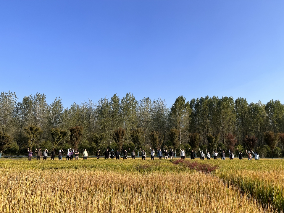 微信图片_20221017231757