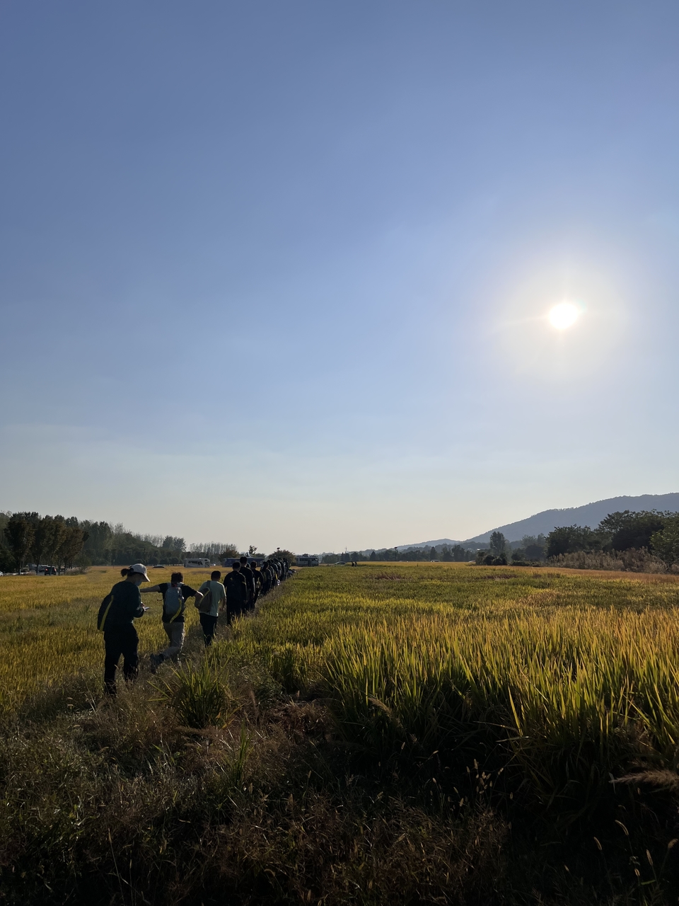 微信图片_20221017231838