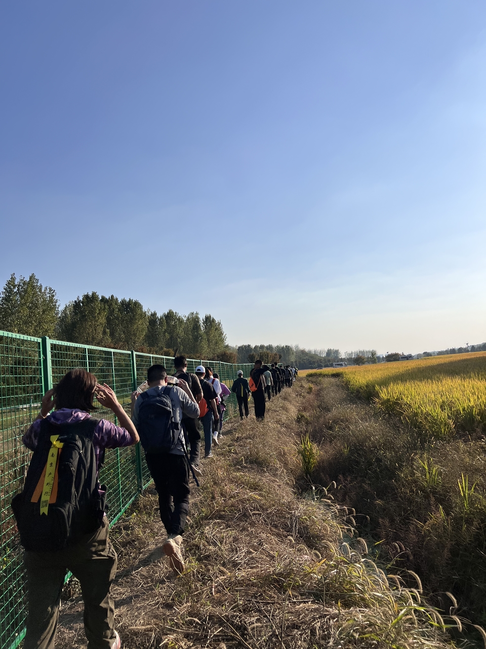 微信图片_20221017231849