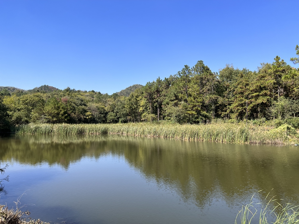 微信图片_20221017232046