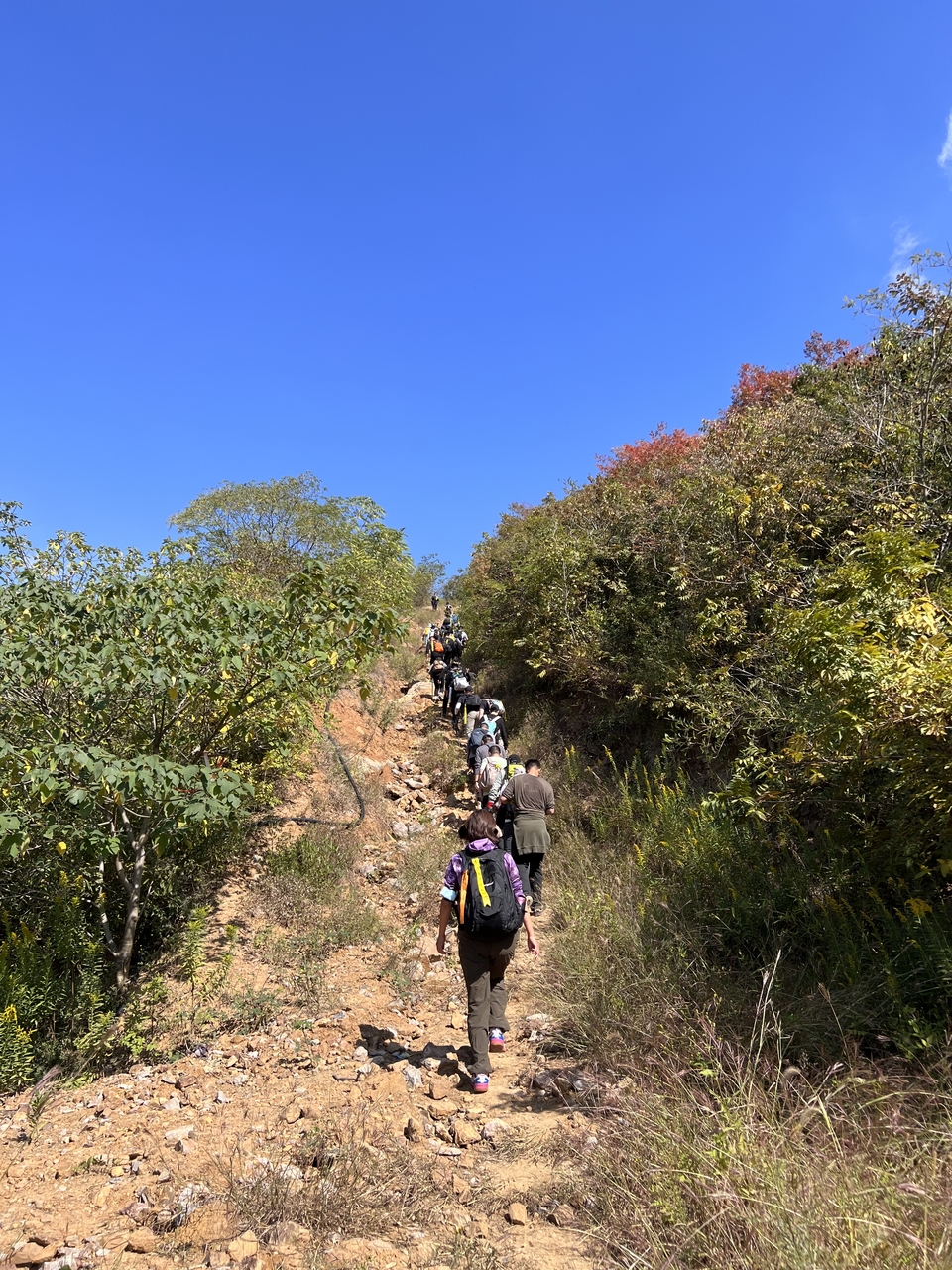 微信图片_20221017232312