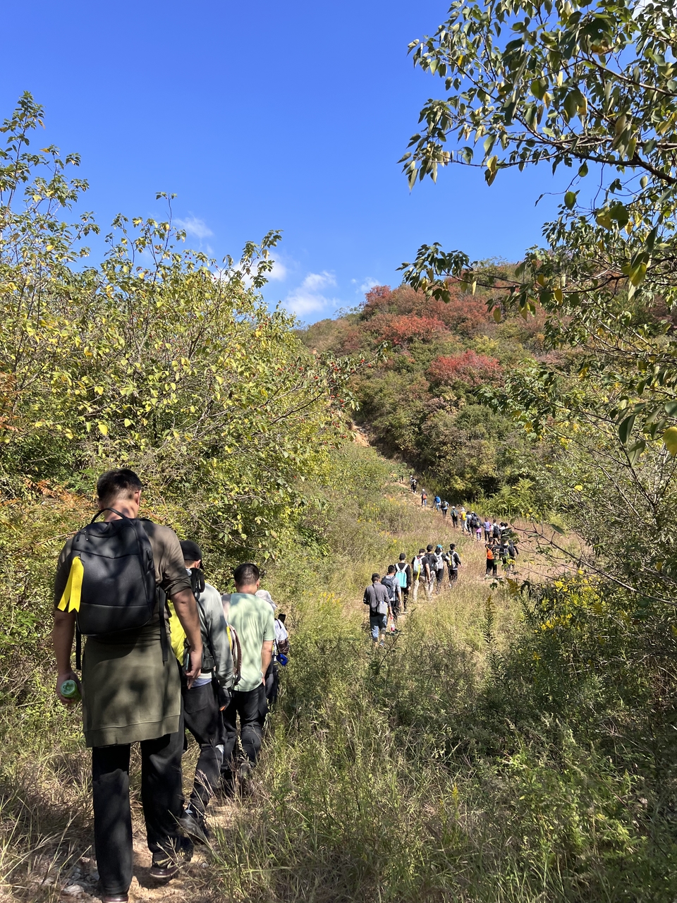 微信图片_20221017232329