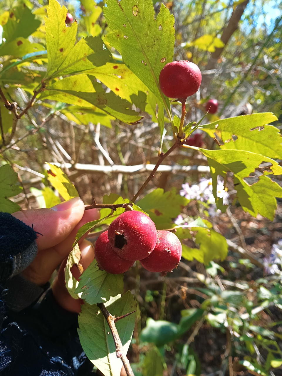 微信图片_20221017232741