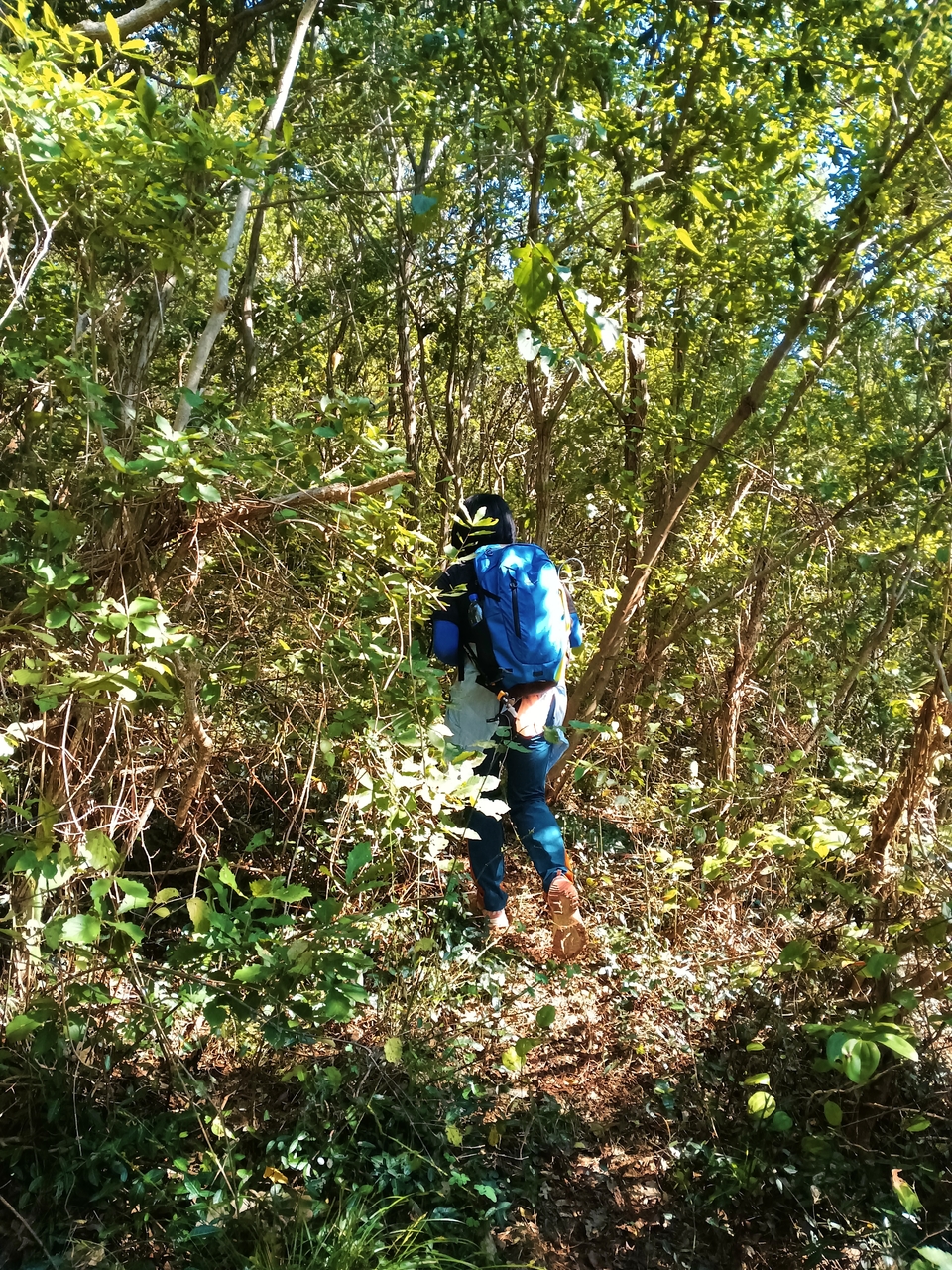 微信图片_20221017232749