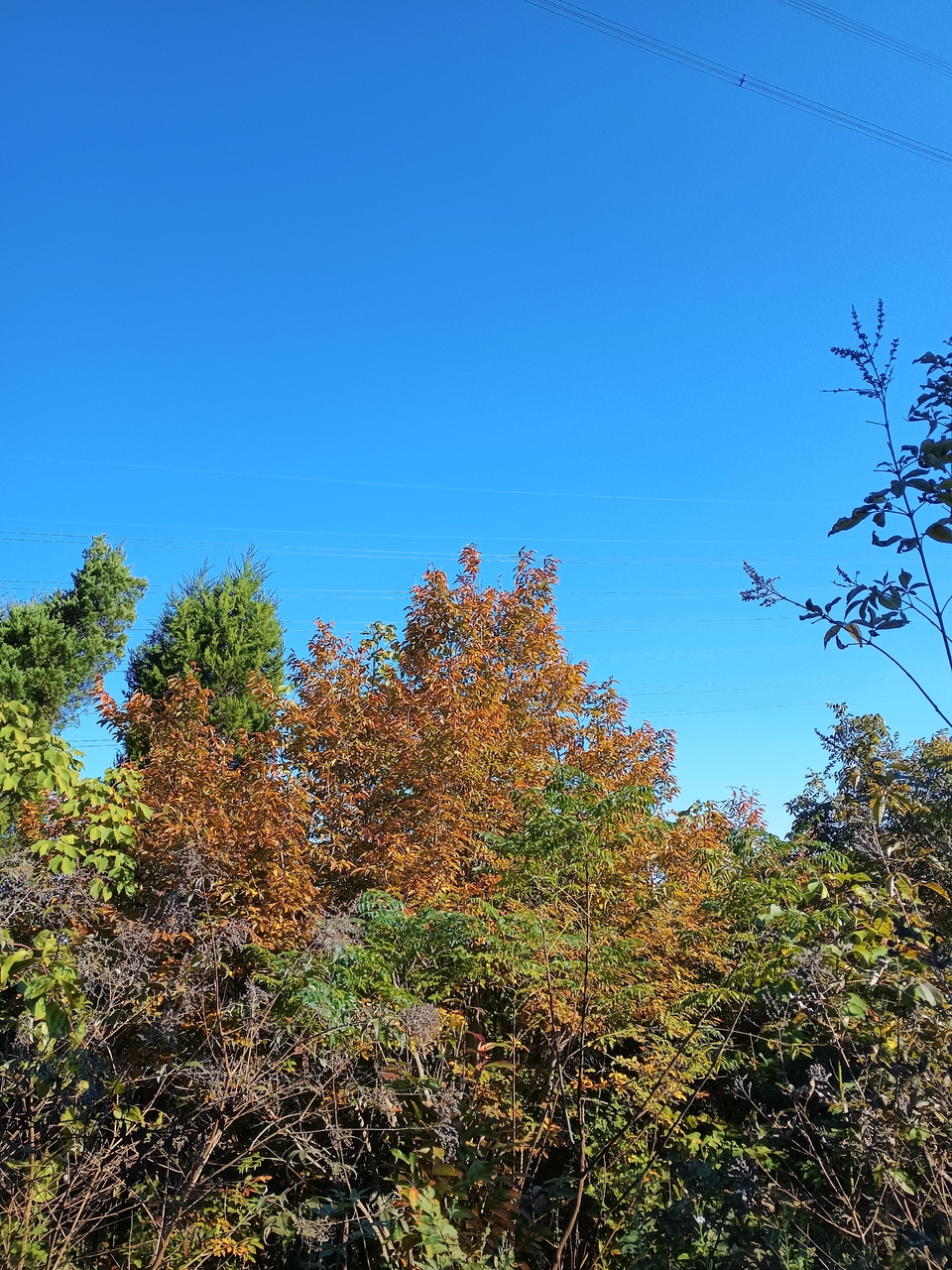 微信图片_20221017232755