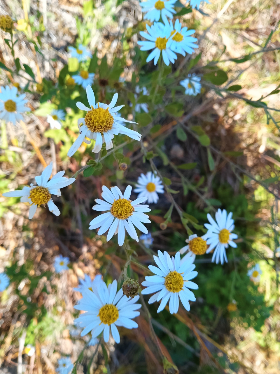 微信图片_20221017232829