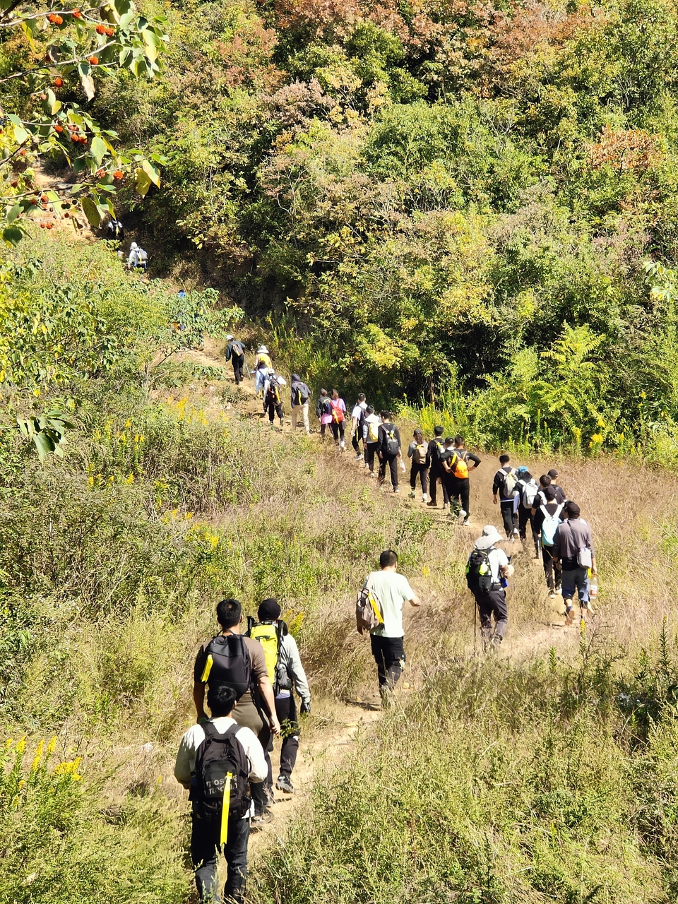 微信图片_20221017232920