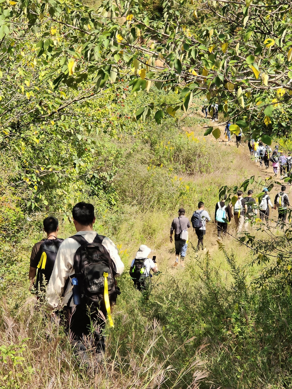 微信图片_20221017232928