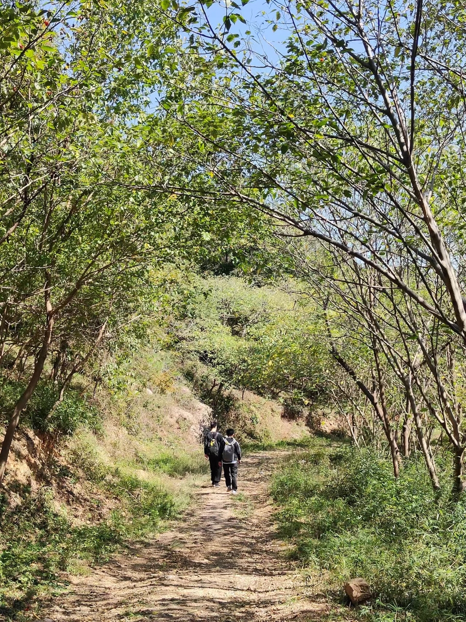 微信图片_20221017232933