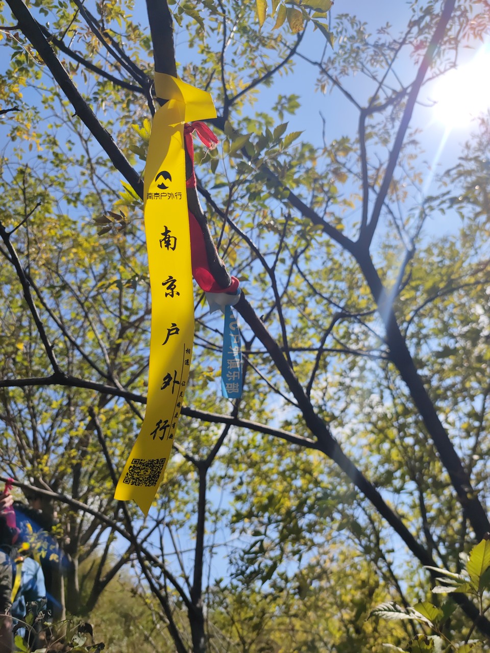 微信图片_20221017232950