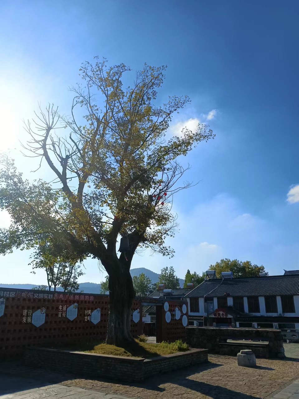 微信图片_20221017233425