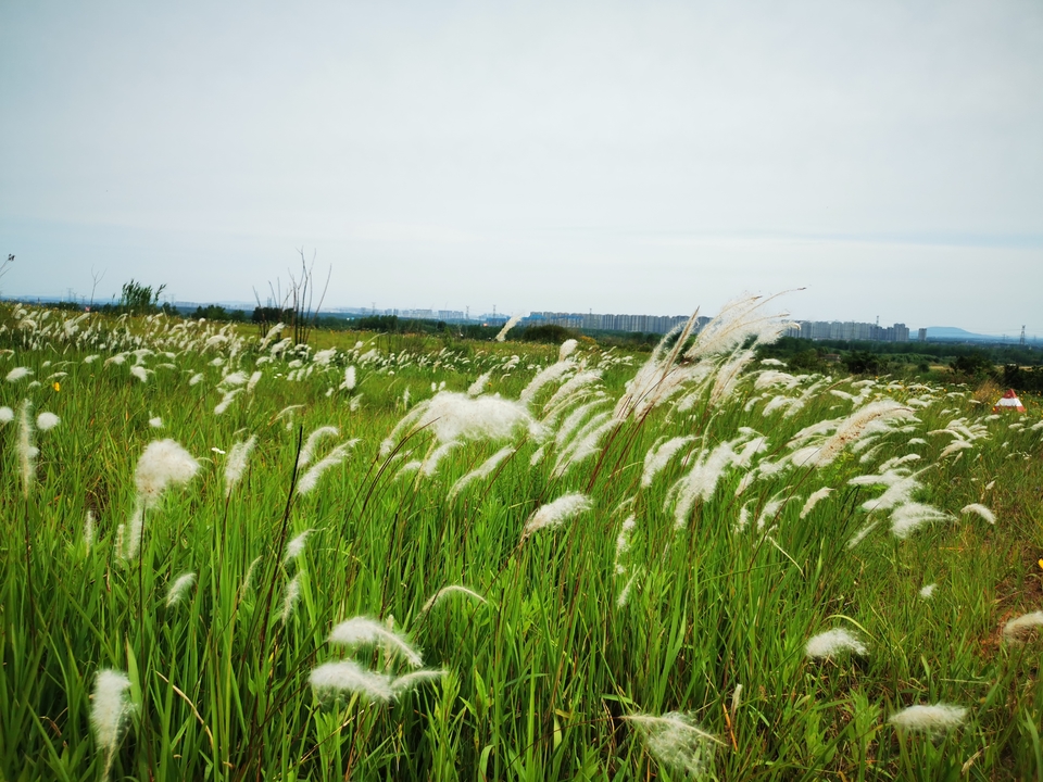 微信图片_20220524223902