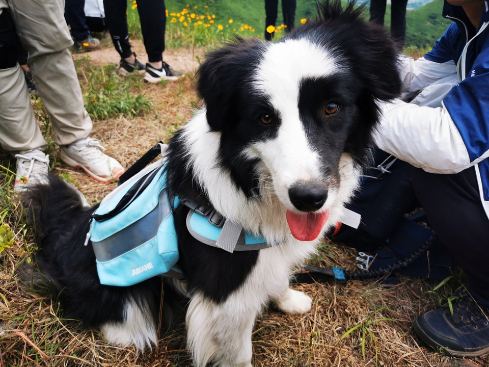 微信图片_20220524223950