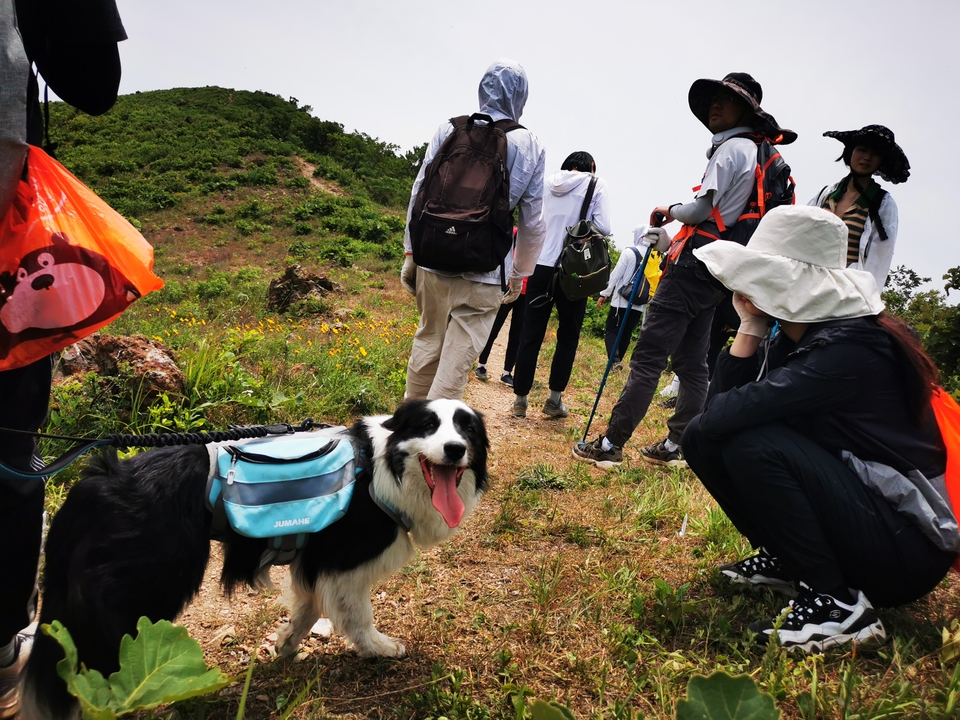 微信图片_20220524223953