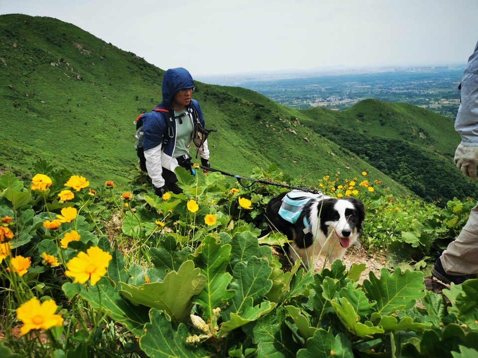 微信图片_20220524223956