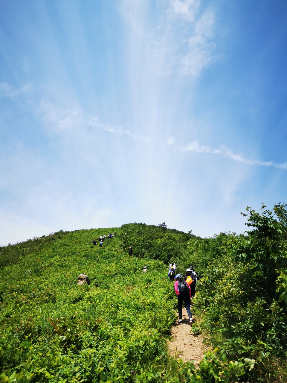 微信图片_20220524224018