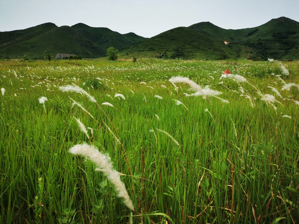 微信图片_20220524224050