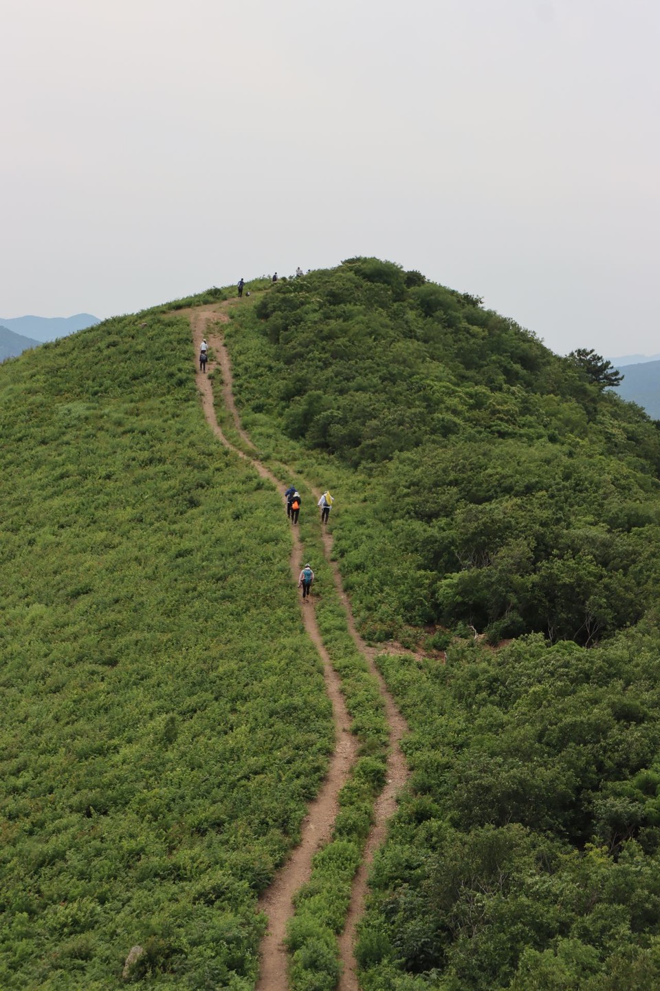微信图片_20220524224134
