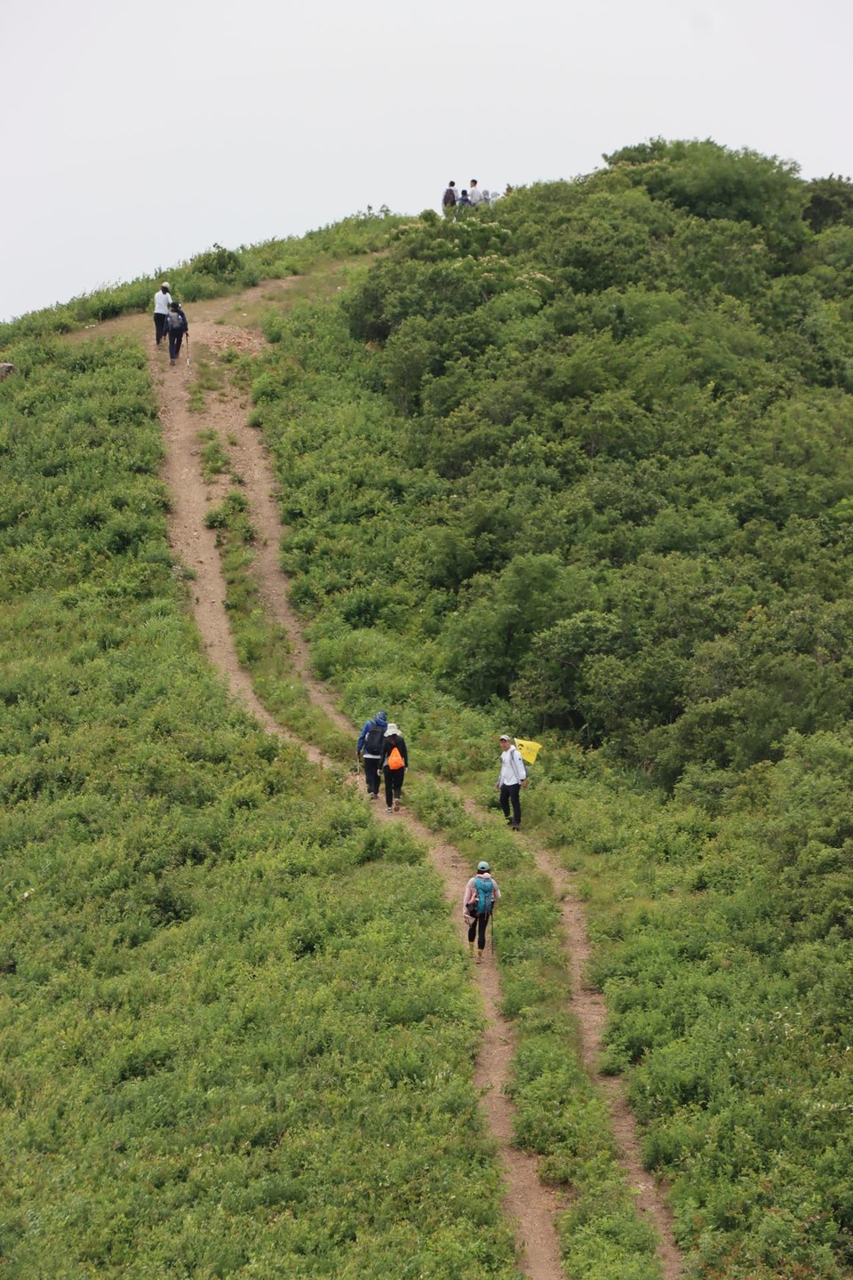 微信图片_20220524224137