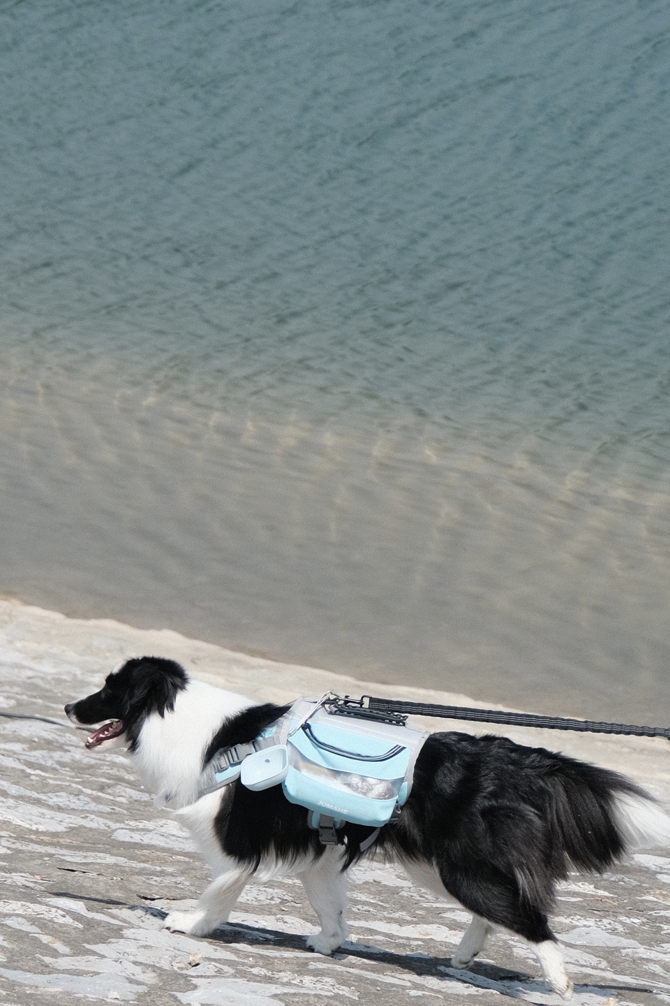 微信图片_20220524224216