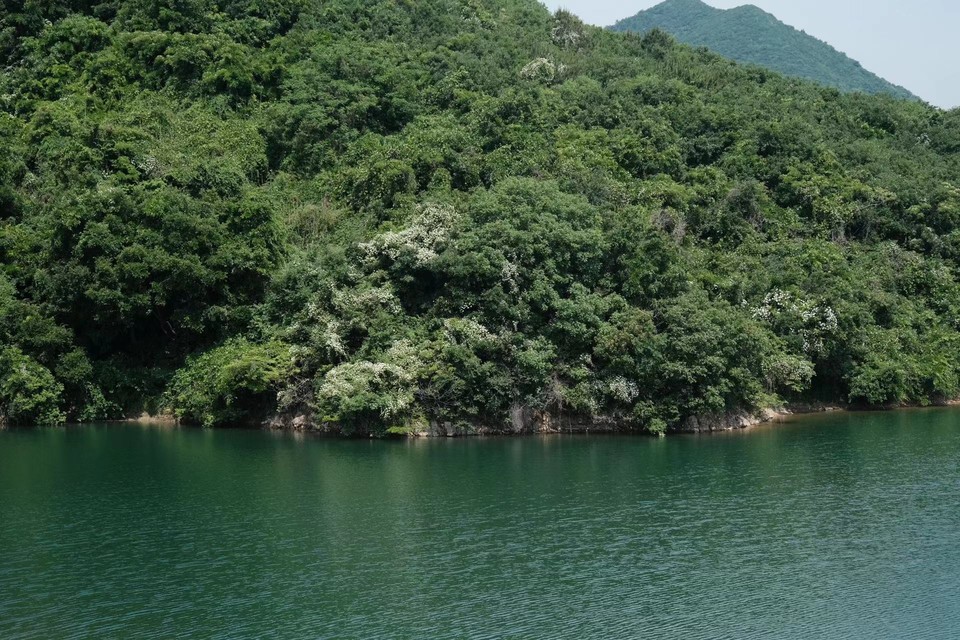 微信图片_20220524224222