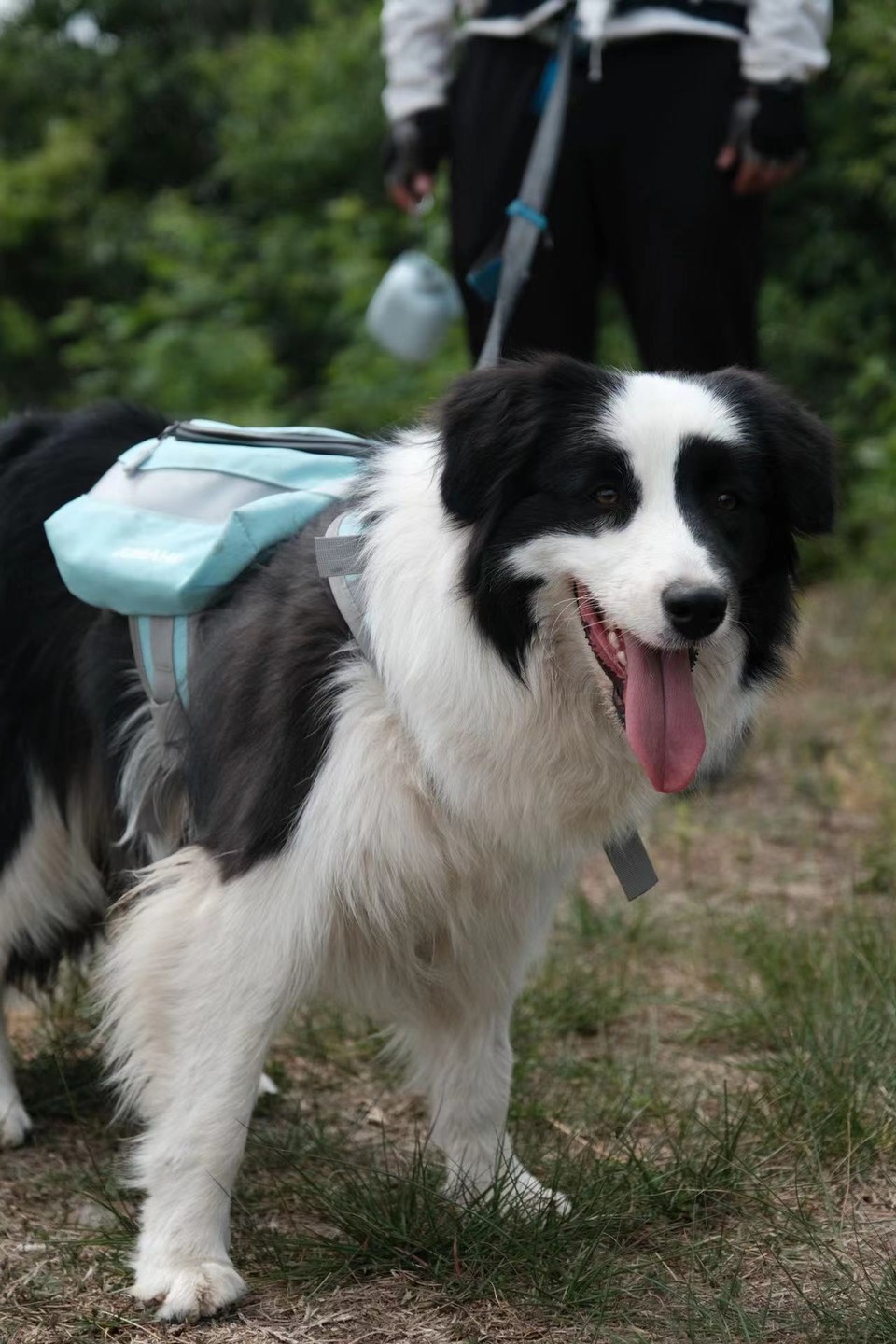 微信图片_20220524224229