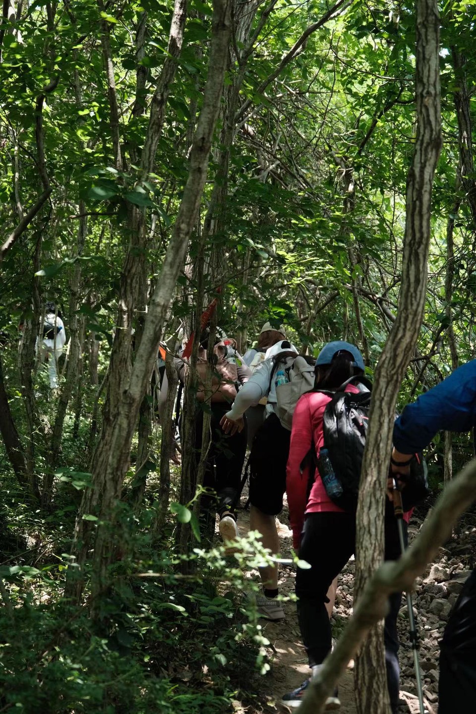 微信图片_20220524224238