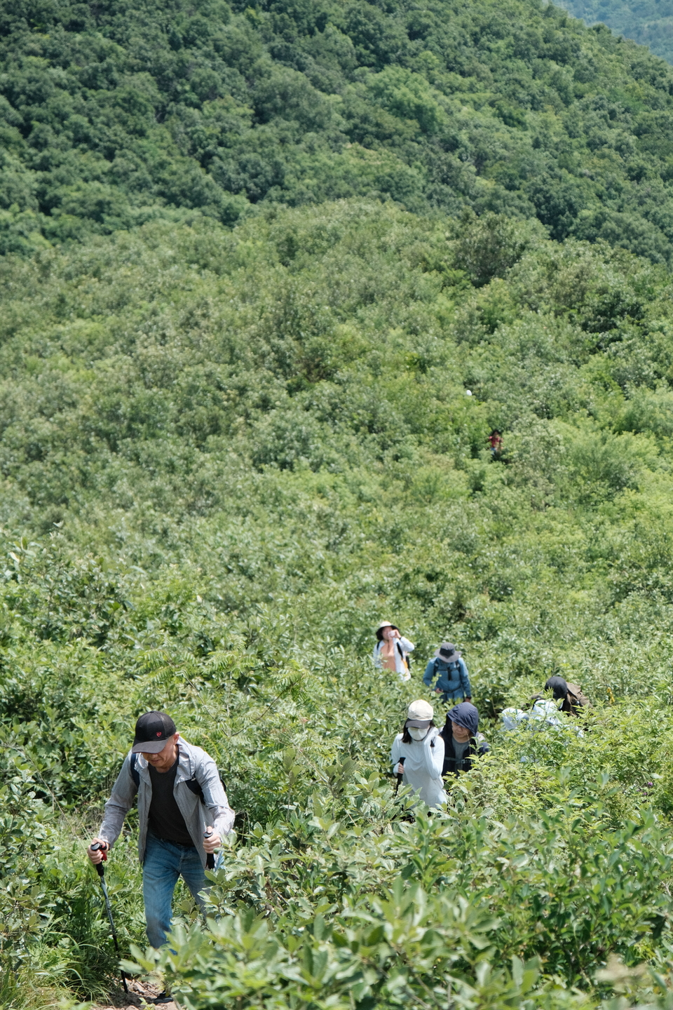 微信图片_20220524224241