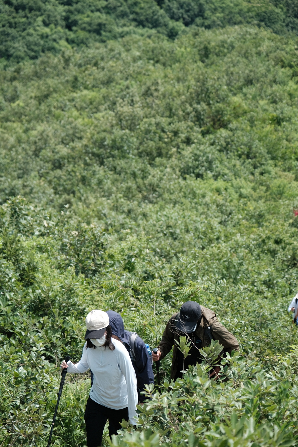 微信图片_20220524224247