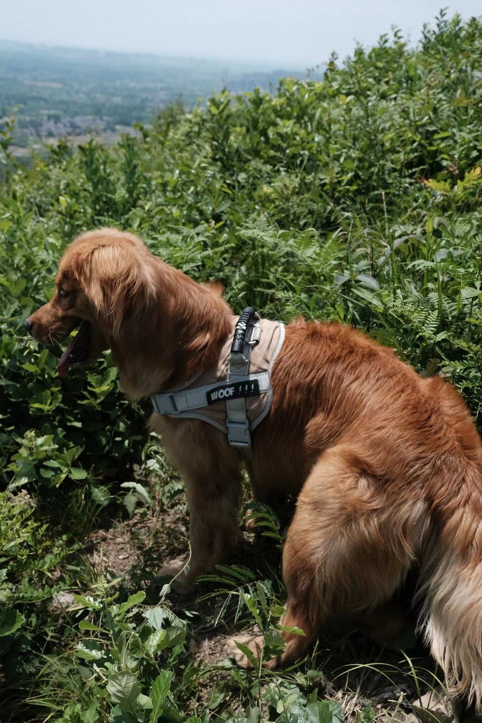 微信图片_20220524224250