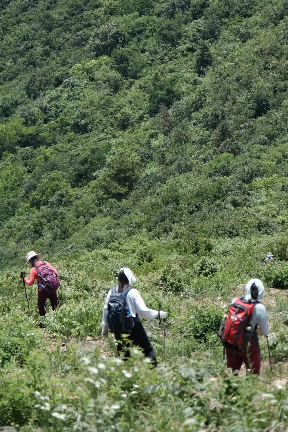 微信图片_20220524224317