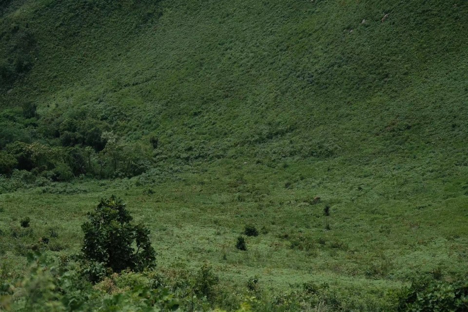 微信图片_20220524224403