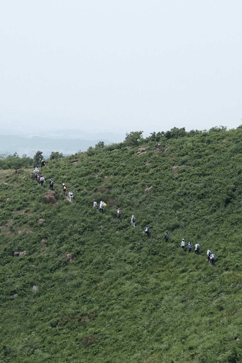 微信图片_20220524224406