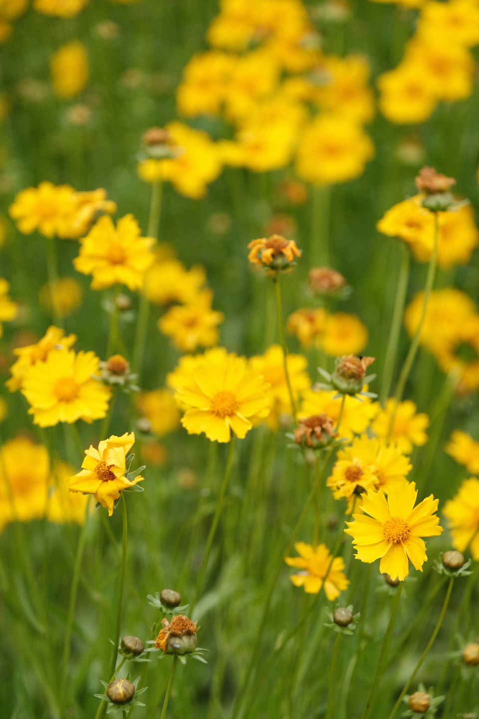 微信图片_20220524224420