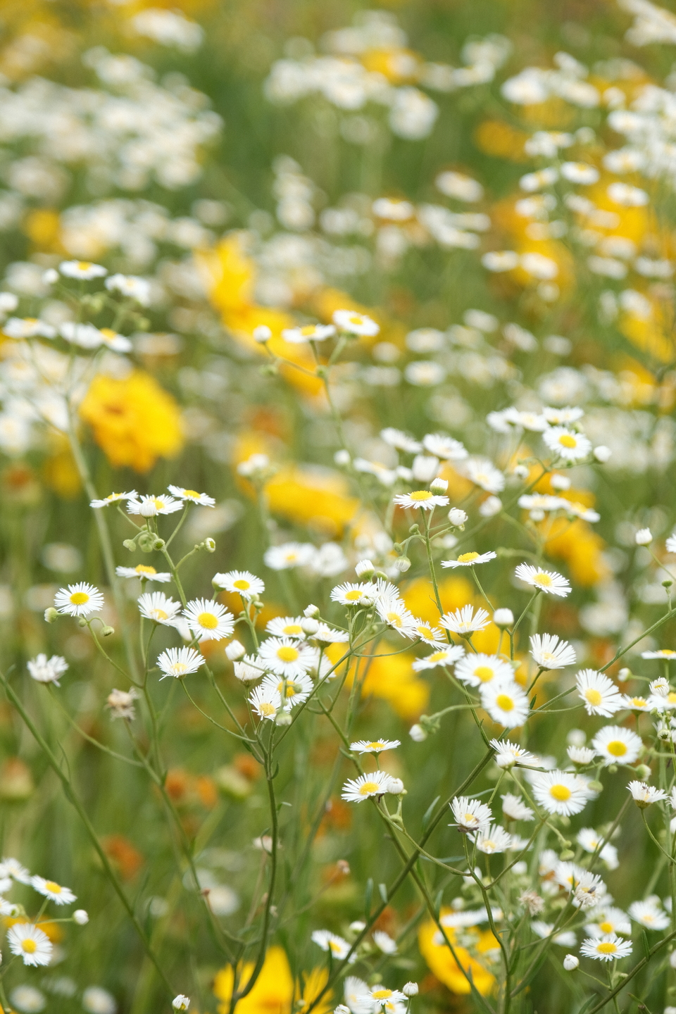 微信图片_20220524224437