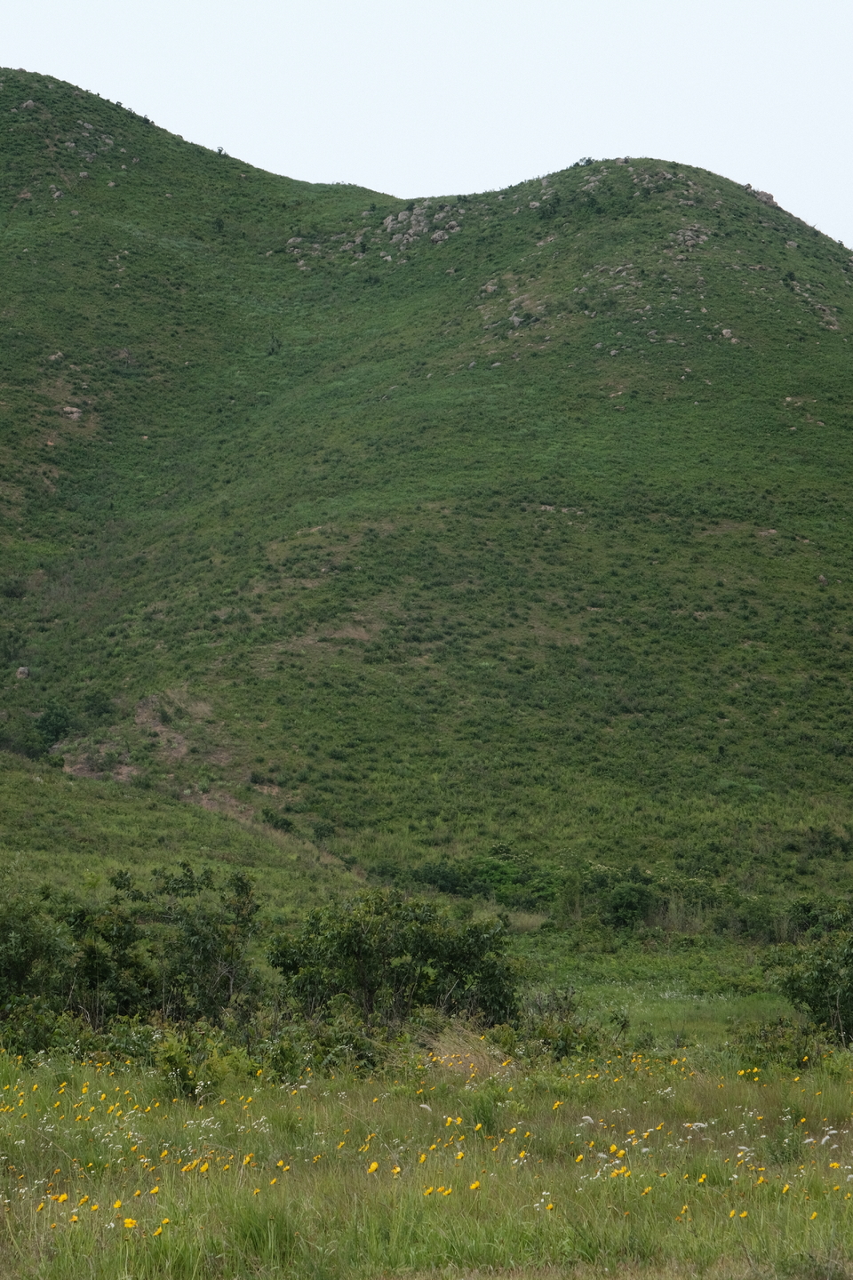 微信图片_20220524224444