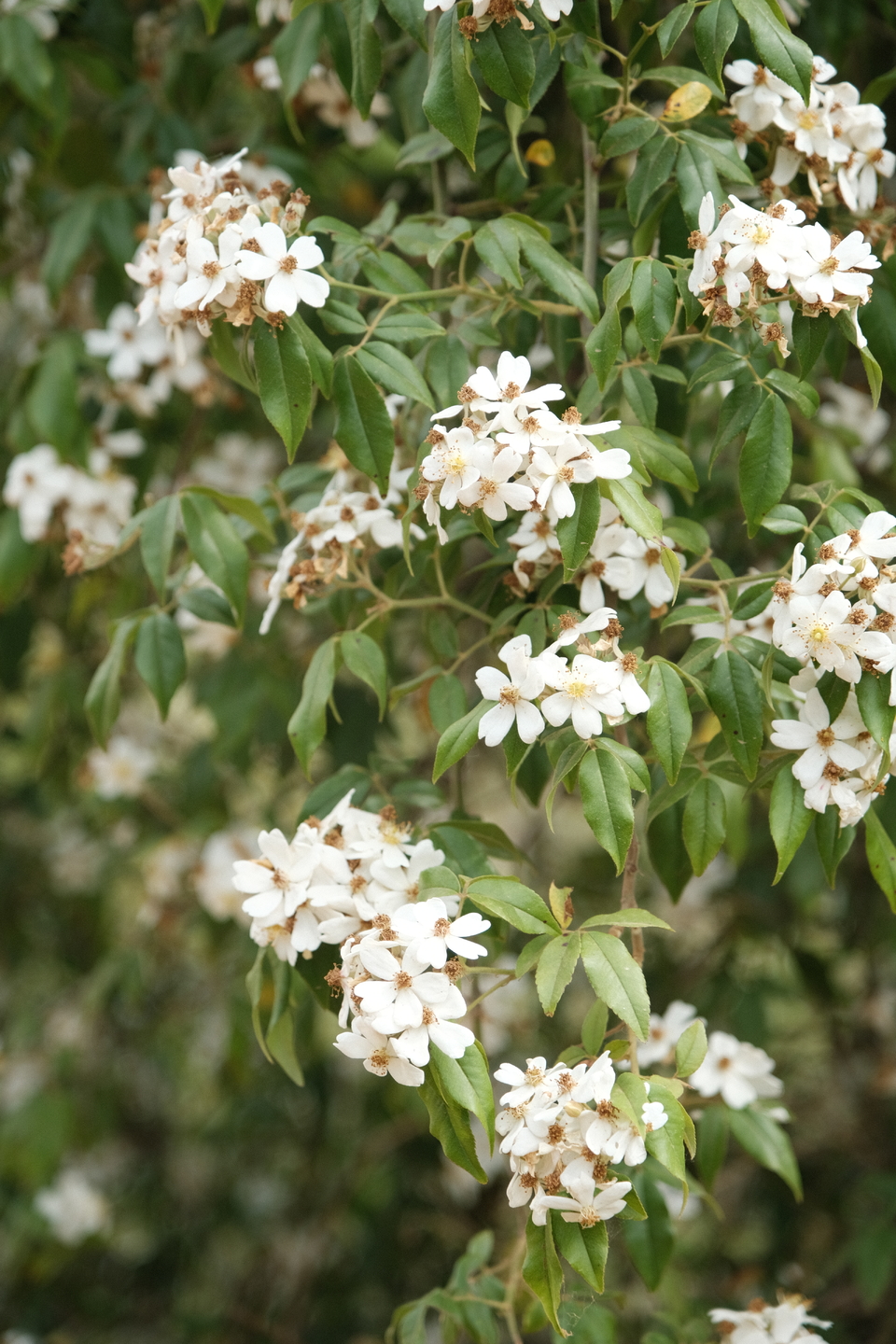 微信图片_20220524224448