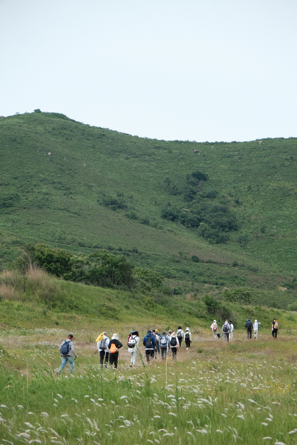 微信图片_20220524224501