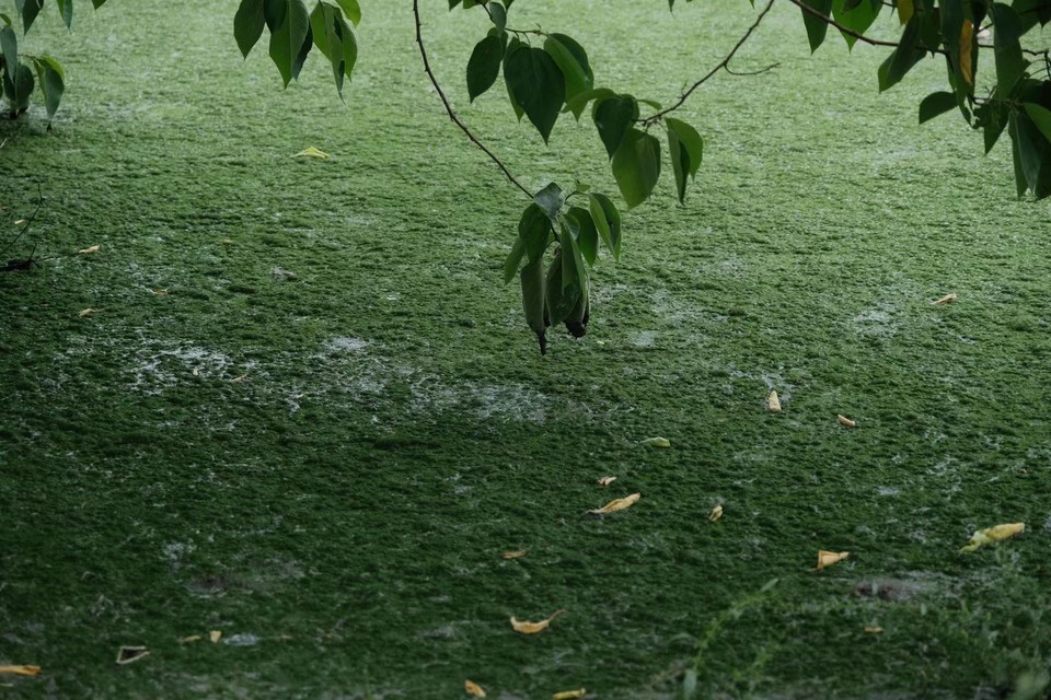 微信图片_20220524224504