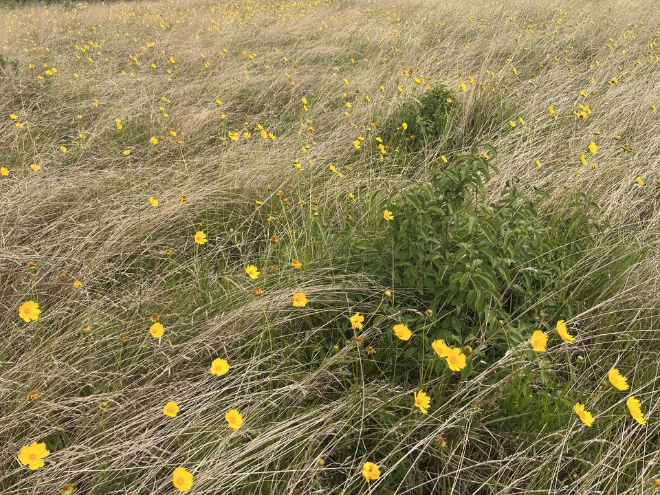 微信图片_20220524224507